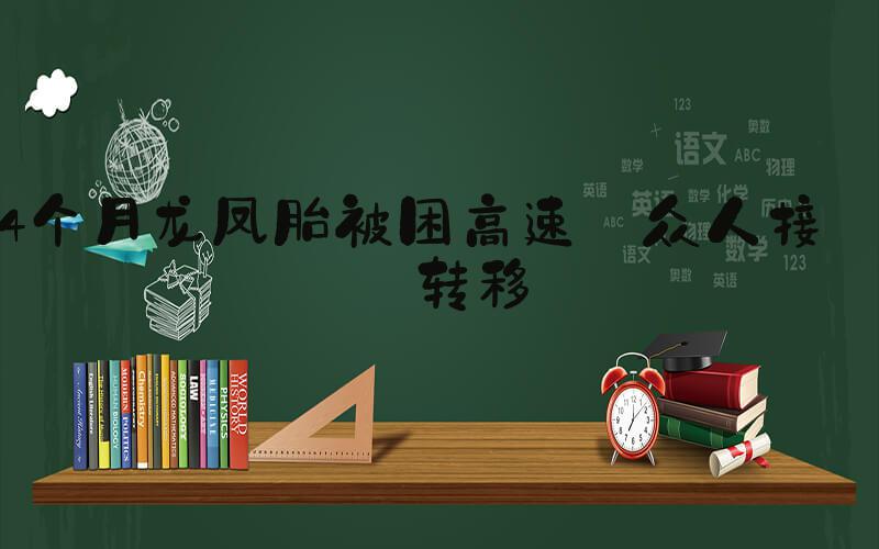 4个月龙凤胎被困高速 众人接力转移
